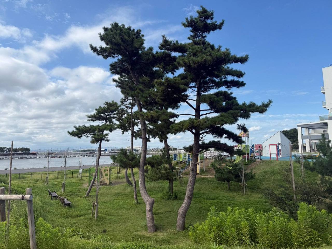 松林广场