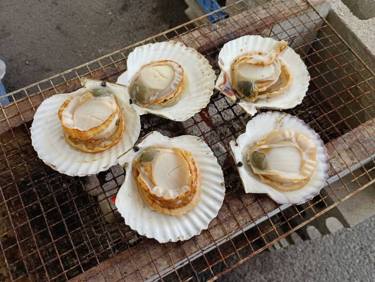 炭火烧烤的扇贝